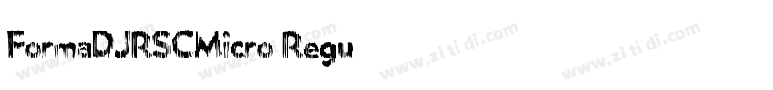 FormaDJRSCMicro Regu字体转换
